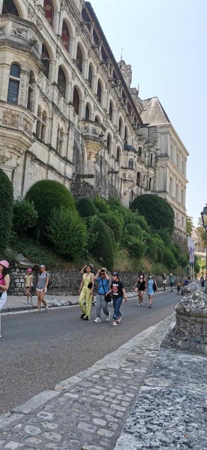 ブロワLe Logis De La Rue Des Artsアパートメント エクステリア 写真