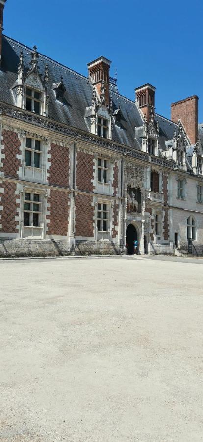 ブロワLe Logis De La Rue Des Artsアパートメント エクステリア 写真